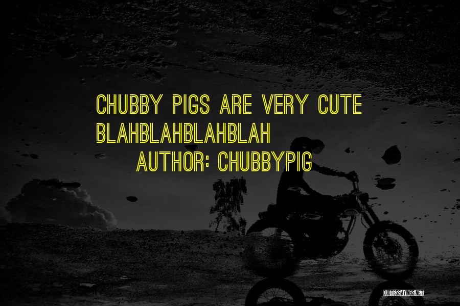 Pigs Cute Quotes By CHUBBYPIG