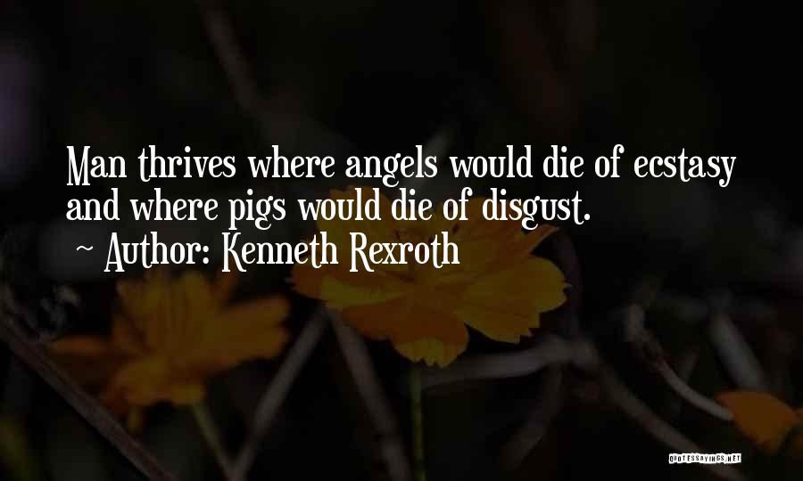 Pigs Quotes By Kenneth Rexroth