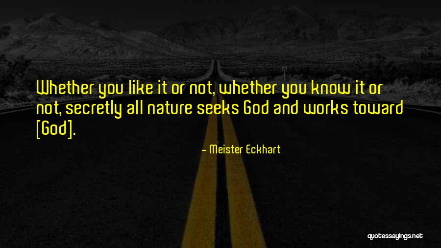 Pijuan Hernandez Quotes By Meister Eckhart Pijuan Hernandez Quotes By Meister Eckhart