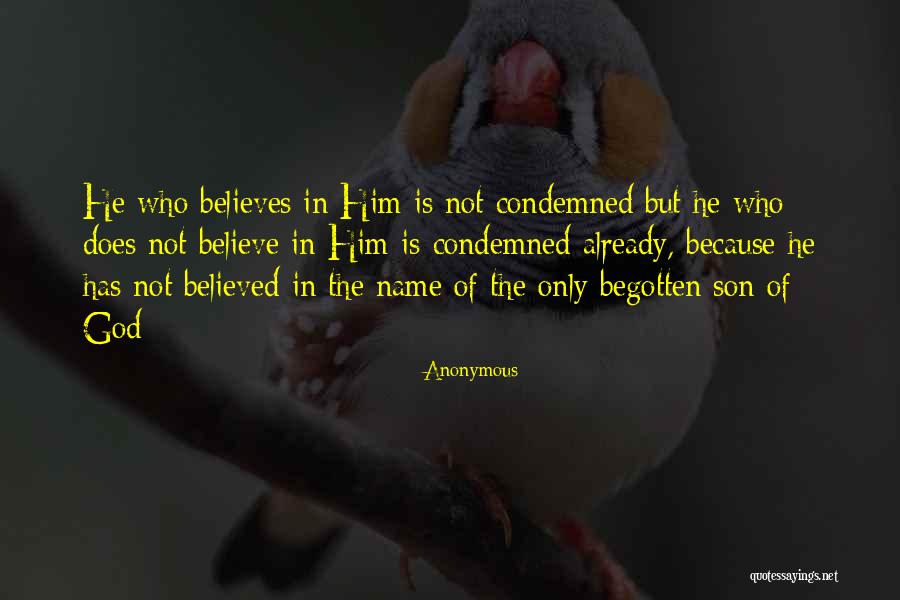 Pijuan Y Quotes By Anonymous Pijuan Y Quotes By Anonymous