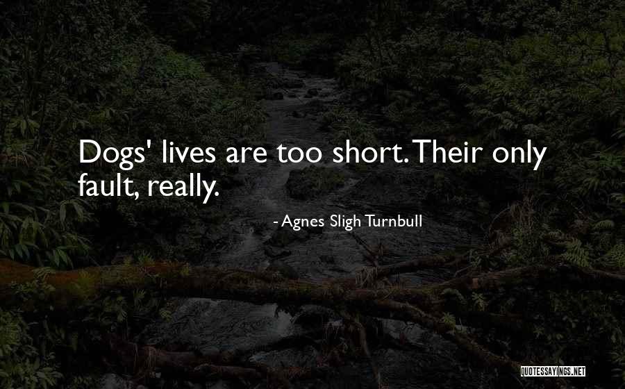Pikachus Winter Quotes By Agnes Sligh Turnbull Pikachus Winter Quotes By Agnes Sligh Turnbull