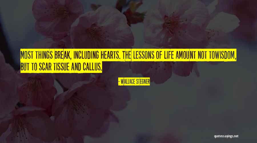 Pikatec Quotes By Wallace Stegner Pikatec Quotes By Wallace Stegner