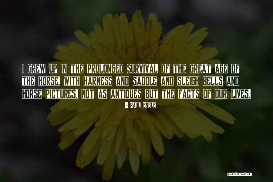 Piktadares Quotes By Paul Engle Piktadares Quotes By Paul Engle