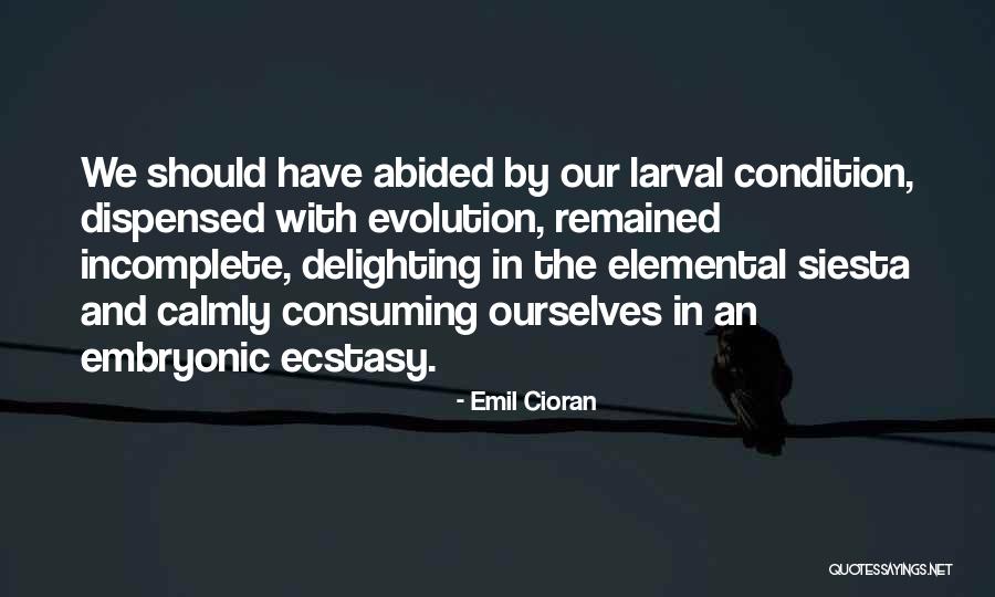 Pilarski Poland Quotes By Emil Cioran Pilarski Poland Quotes By Emil Cioran
