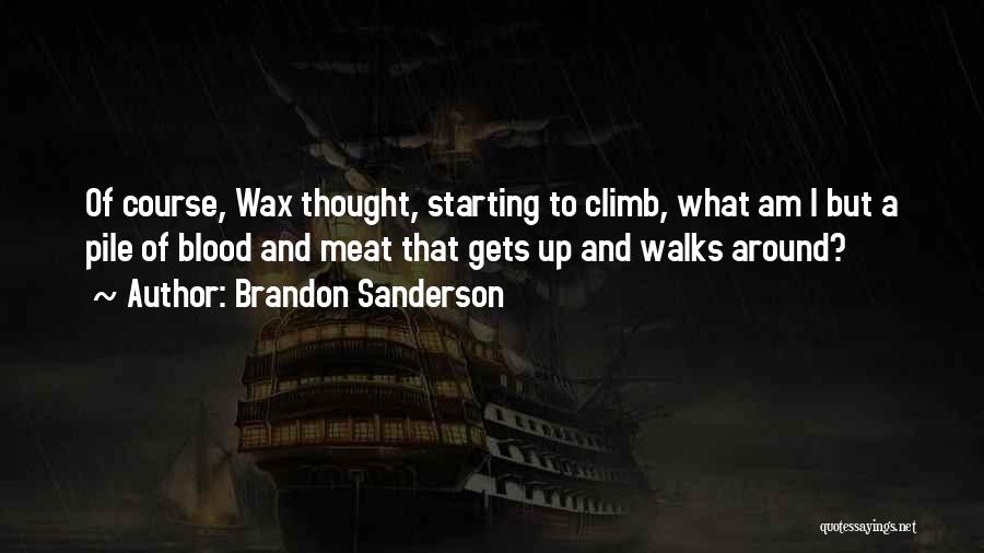 Pile Up Quotes By Brandon Sanderson