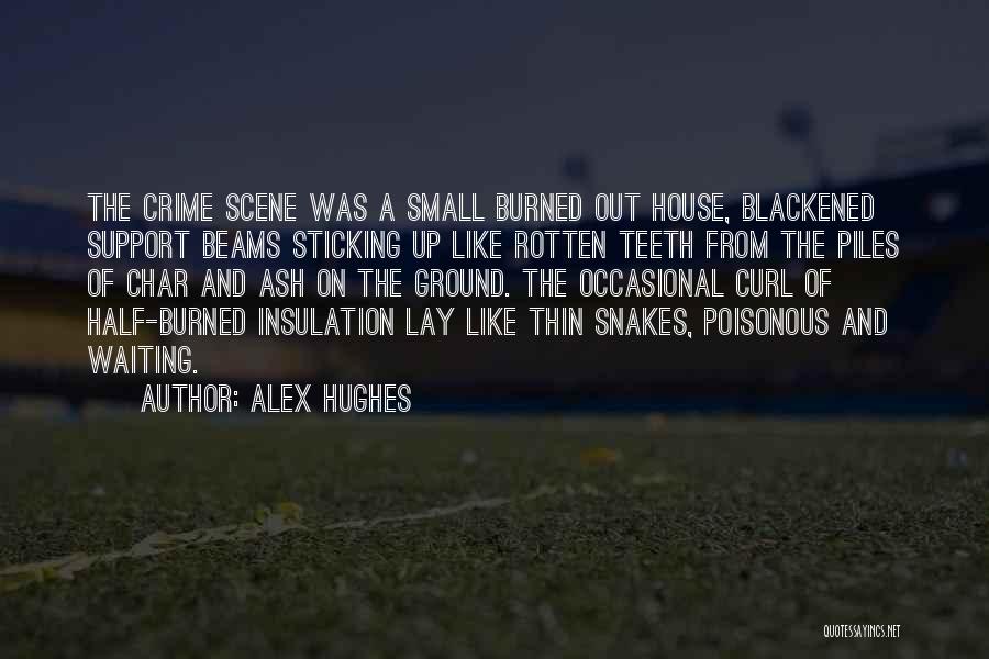 Piles Quotes By Alex Hughes