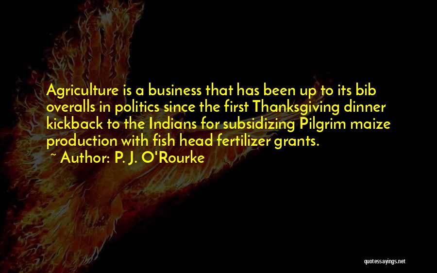 Pilgrim Quotes By P. J. O'Rourke