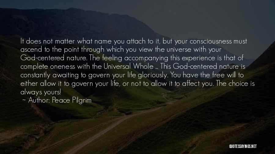 Pilgrim Quotes By Peace Pilgrim