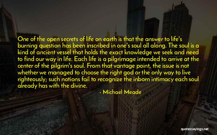 Pilgrimage Journey Quotes By Michael Meade