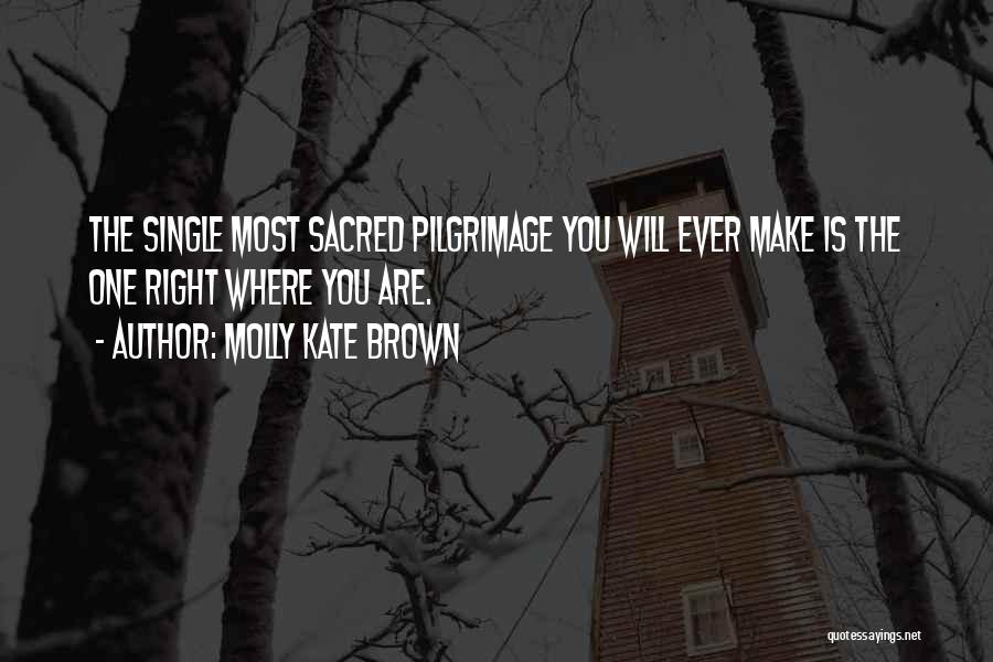 Pilgrimage Journey Quotes By Molly Kate Brown