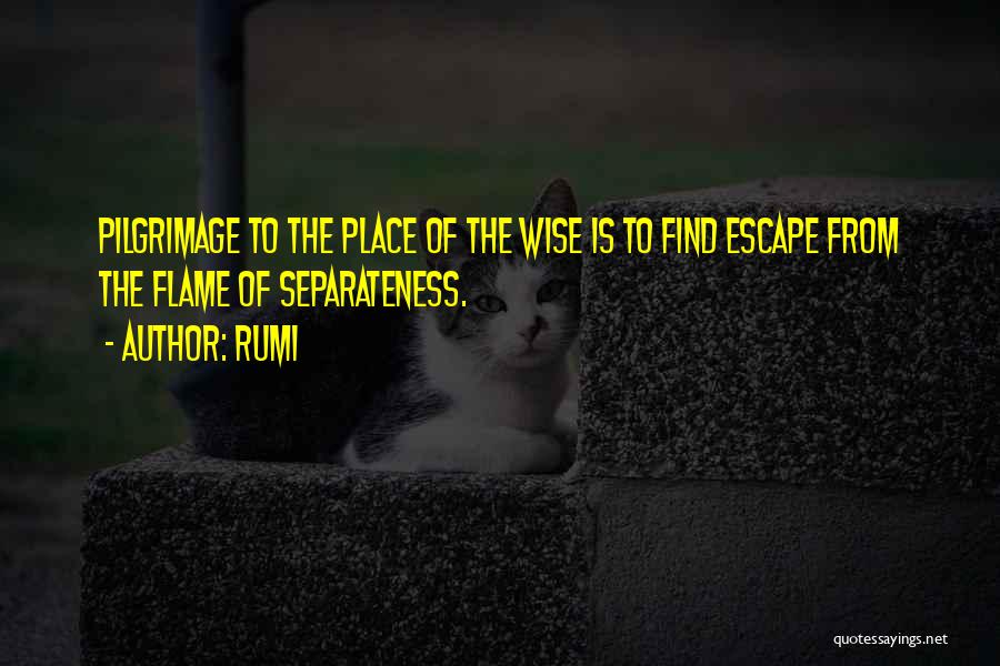 Pilgrimage Quotes By Rumi