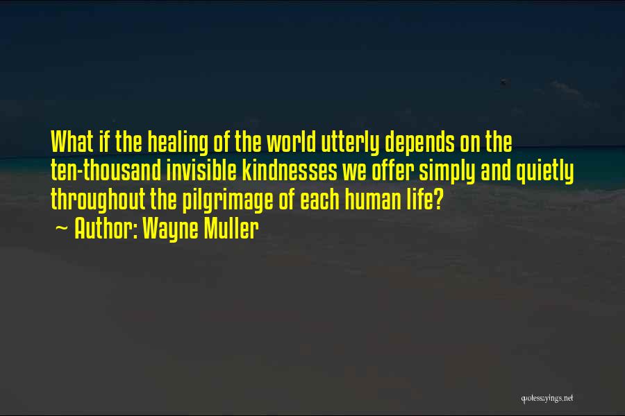 Pilgrimage Quotes By Wayne Muller