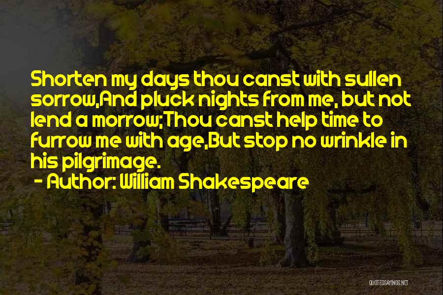Pilgrimage Quotes By William Shakespeare