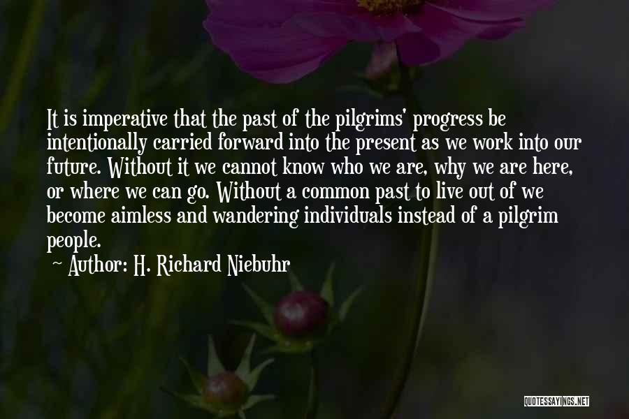 Pilgrim's Progress Quotes By H. Richard Niebuhr
