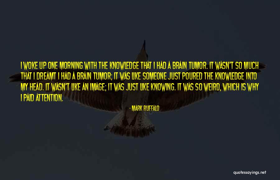 Piliero Artwork Quotes By Mark Ruffalo Piliero Artwork Quotes By Mark Ruffalo