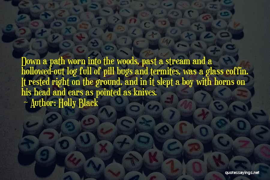 Pill Head Quotes By Holly Black