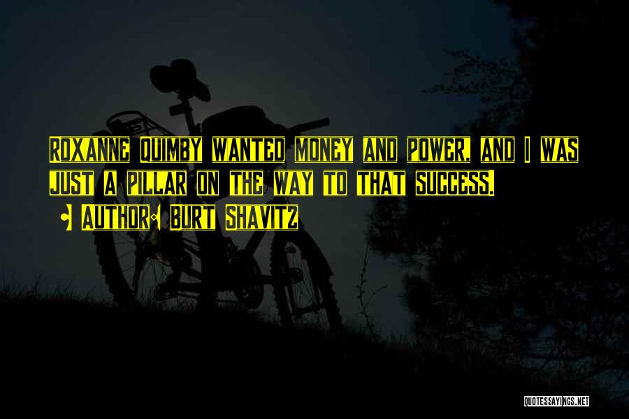 Pillar Of Success Quotes By Burt Shavitz