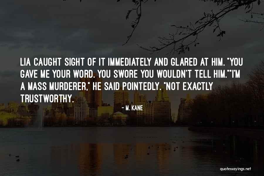 Pillard Minecraft Quotes By M. Kane Pillard Minecraft Quotes By M. Kane