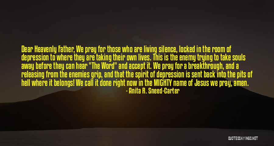 Pillayan Quotes By Anita R. Sneed-Carter Pillayan Quotes By Anita R. Sneed-Carter