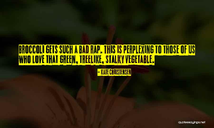 Pillbox Hill Quotes By Kate Christensen Pillbox Hill Quotes By Kate Christensen