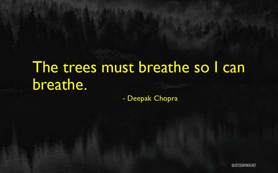 Pillbugs External Anatomy Quotes By Deepak Chopra Pillbugs External Anatomy Quotes By Deepak Chopra