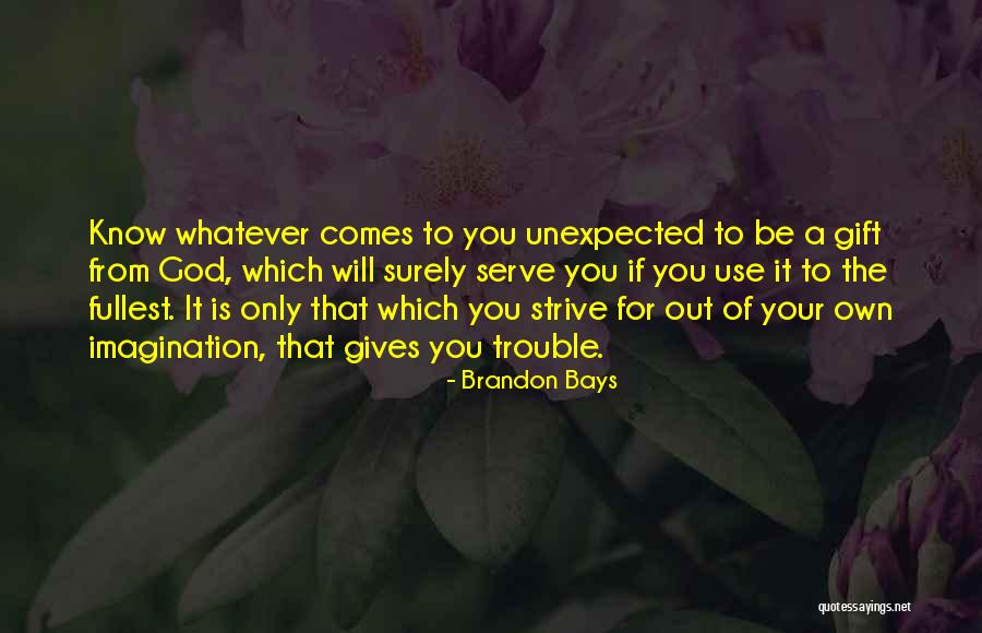 Pillion Pad Quotes By Brandon Bays Pillion Pad Quotes By Brandon Bays