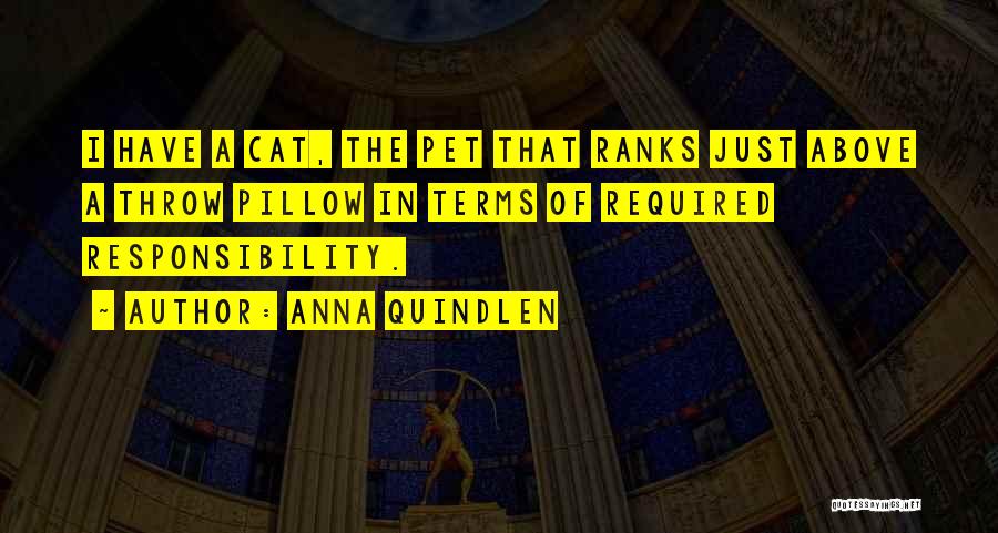 Pillow Pet Quotes By Anna Quindlen