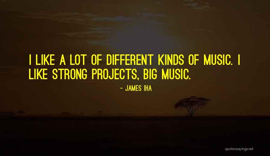 Pillowed Cabinet Quotes By James Iha Pillowed Cabinet Quotes By James Iha