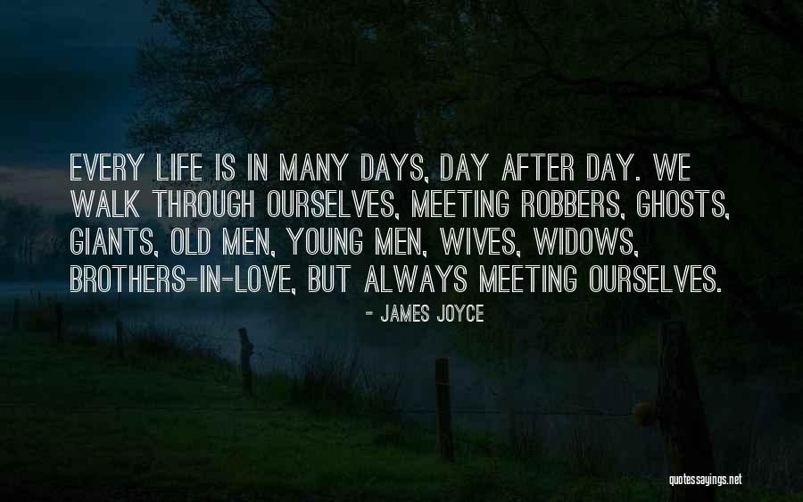 Pillows By Carpenter Quotes By James Joyce Pillows By Carpenter Quotes By James Joyce