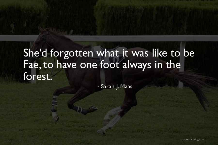 Piloo Mody Quotes By Sarah J. Maas Piloo Mody Quotes By Sarah J. Maas