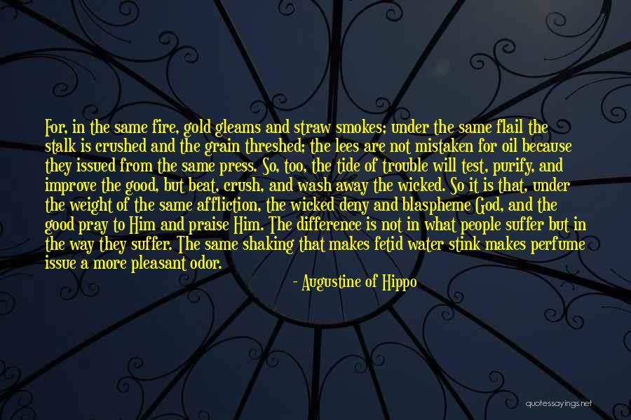 Piltrafa Definicion Quotes By Augustine Of Hippo Piltrafa Definicion Quotes By Augustine Of Hippo
