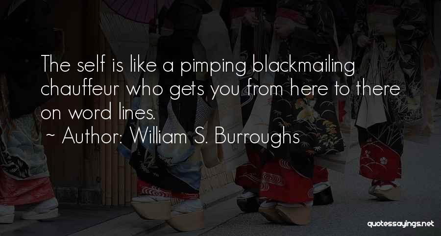 Pimping Quotes By William S. Burroughs