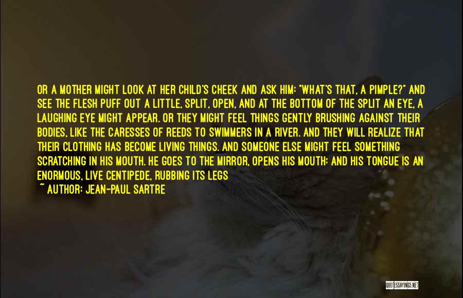Pimple Quotes By Jean-Paul Sartre