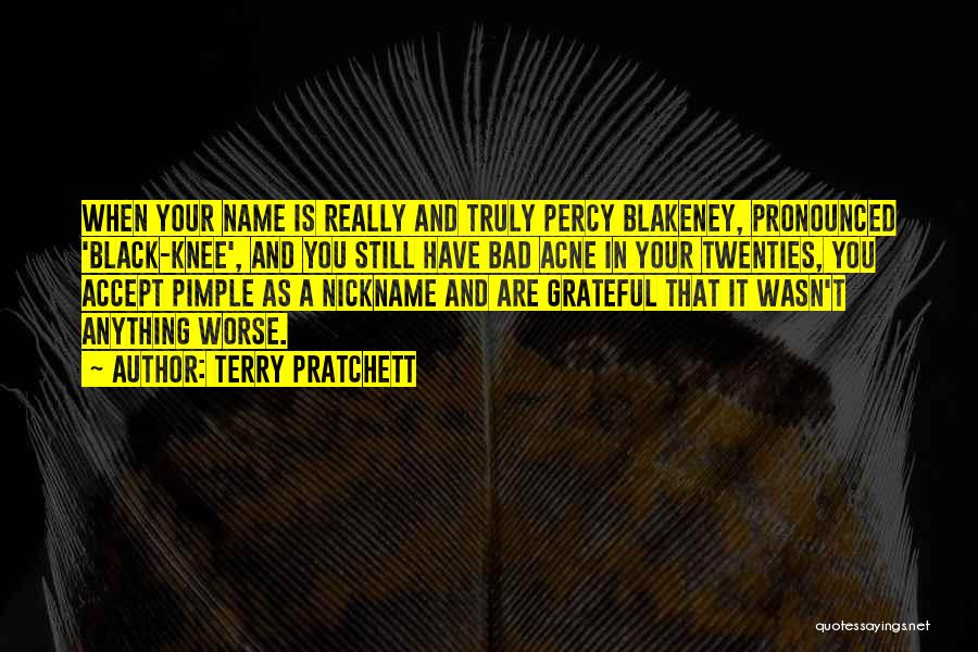 Pimple Quotes By Terry Pratchett