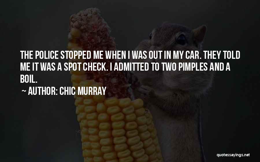 Pimples Funny Quotes By Chic Murray