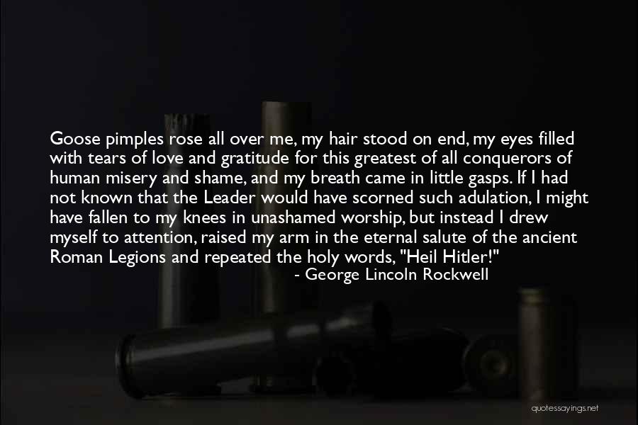 Pimples Quotes By George Lincoln Rockwell Pimples Quotes By George Lincoln Rockwell