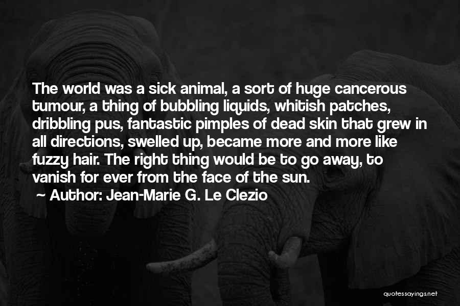 Pimples Quotes By Jean-Marie G. Le Clezio