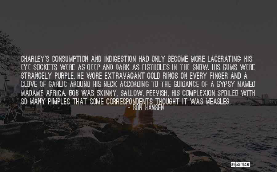 Pimples Quotes By Ron Hansen Pimples Quotes By Ron Hansen