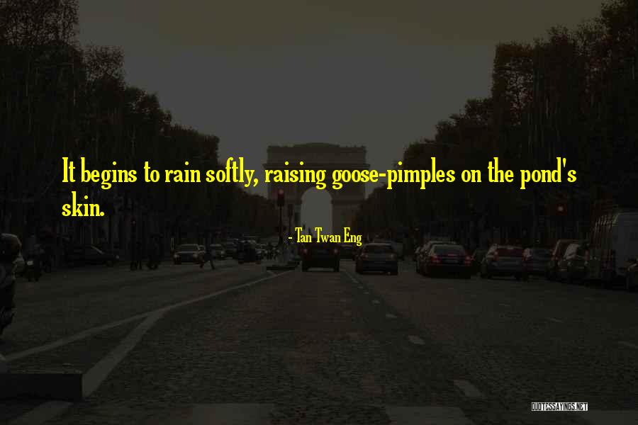 Pimples Quotes By Tan Twan Eng