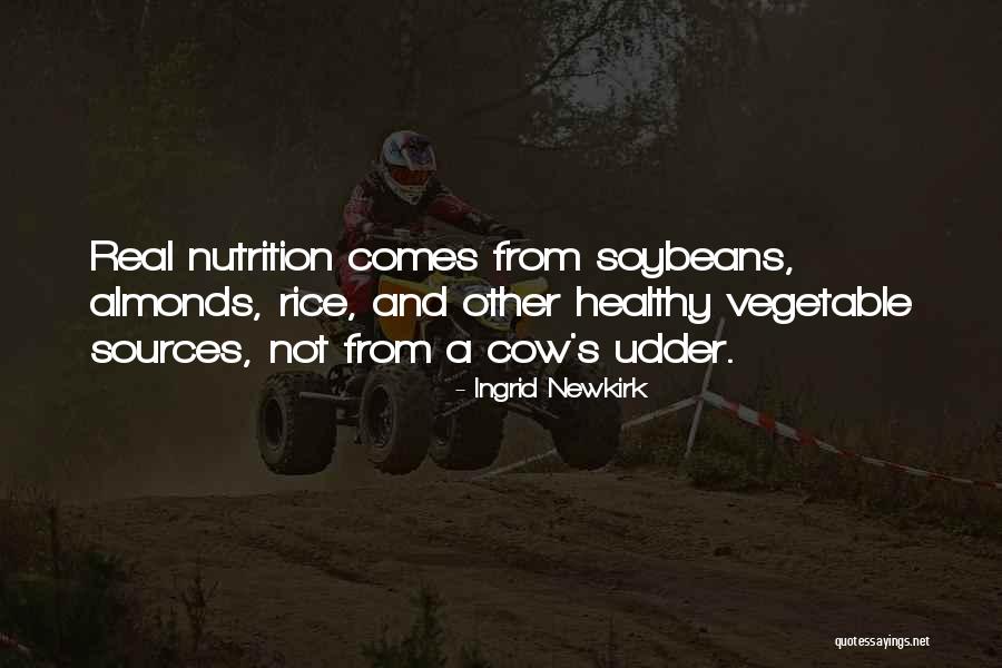 Pimply Bumps Quotes By Ingrid Newkirk Pimply Bumps Quotes By Ingrid Newkirk