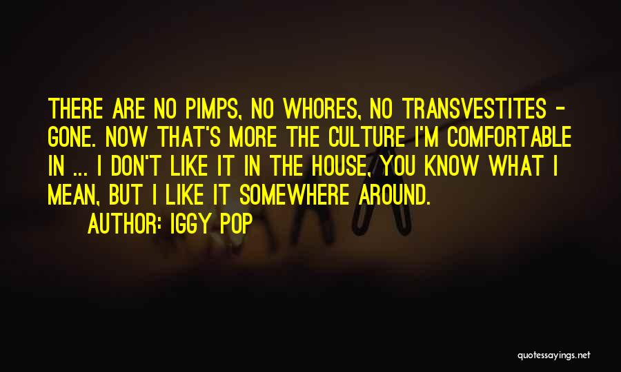 Pimps Quotes By Iggy Pop