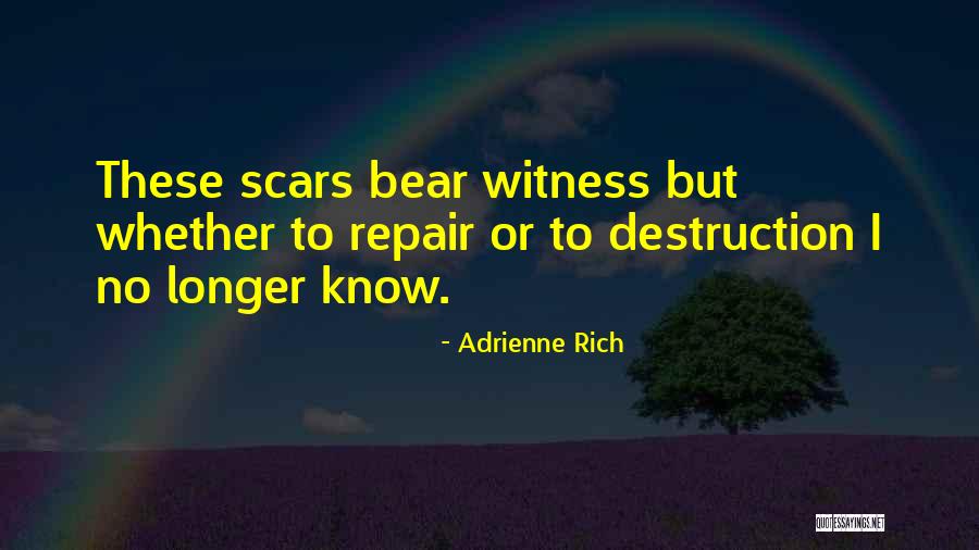Pin Comb Quotes By Adrienne Rich Pin Comb Quotes By Adrienne Rich