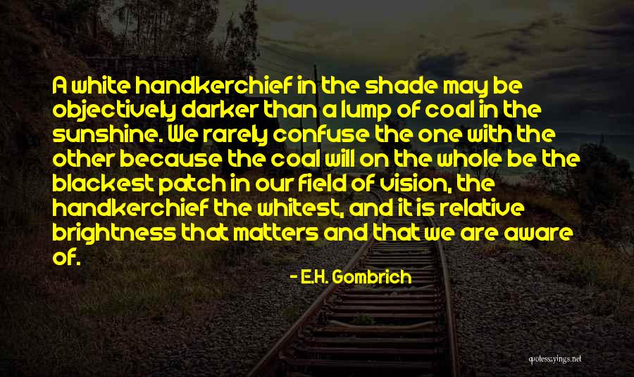 Pin Partial Squats Quotes By E.H. Gombrich Pin Partial Squats Quotes By E.H. Gombrich