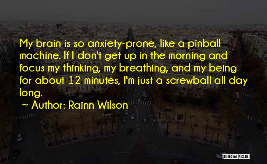 Pinball Quotes By Rainn Wilson