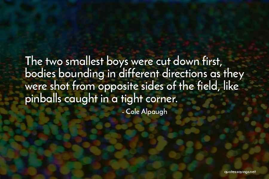 Pinballs Quotes By Cole Alpaugh Pinballs Quotes By Cole Alpaugh