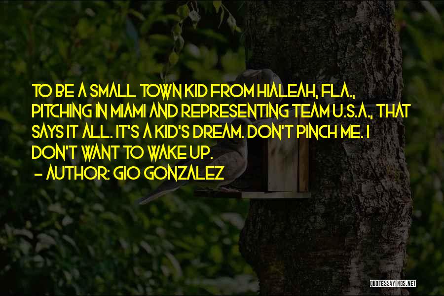 Pinch Me Quotes By Gio Gonzalez