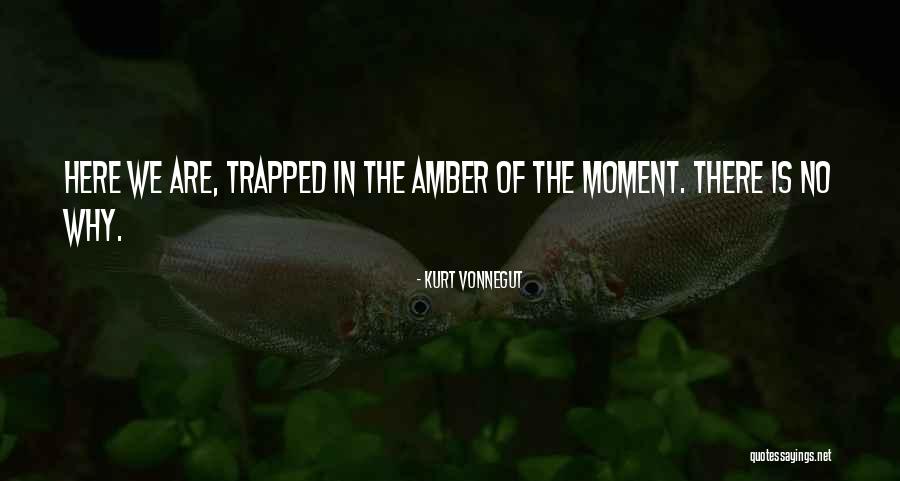 Pincha Mayurasana Quotes By Kurt Vonnegut Pincha Mayurasana Quotes By Kurt Vonnegut