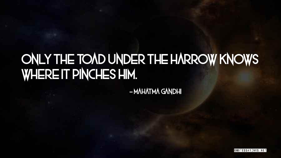Pinches Quotes By Mahatma Gandhi Pinches Quotes By Mahatma Gandhi