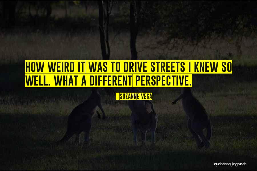 Pinchiaroli Notaire Quotes By Suzanne Vega Pinchiaroli Notaire Quotes By Suzanne Vega