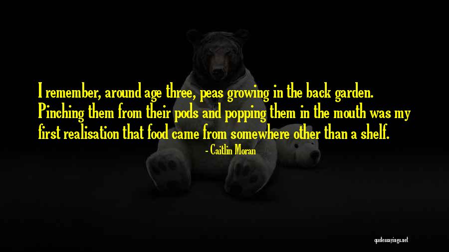 Pinching Yourself Quotes By Caitlin Moran Pinching Yourself Quotes By Caitlin Moran
